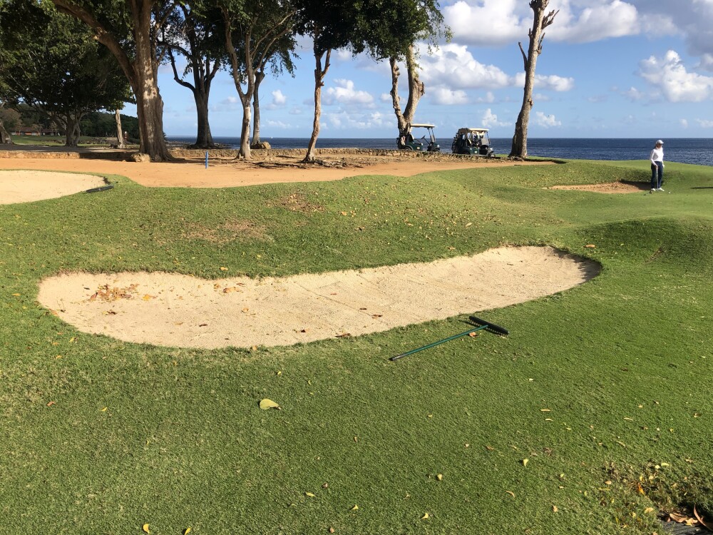 teeth-of-the-dog-16-bunkers-pre-restoration.jpg