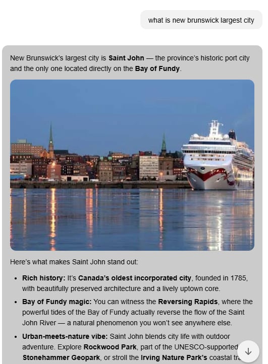 A screenshot of the AI chatbot