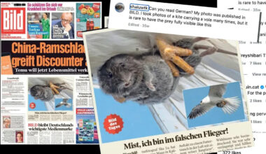 Yahoo lifestyle home