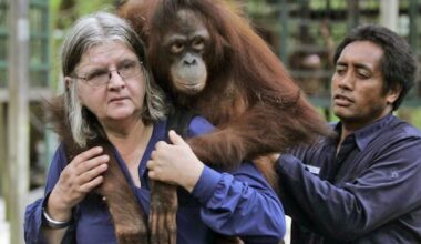 Canadian orangutan scientist Biruté Galdikas dead at 79