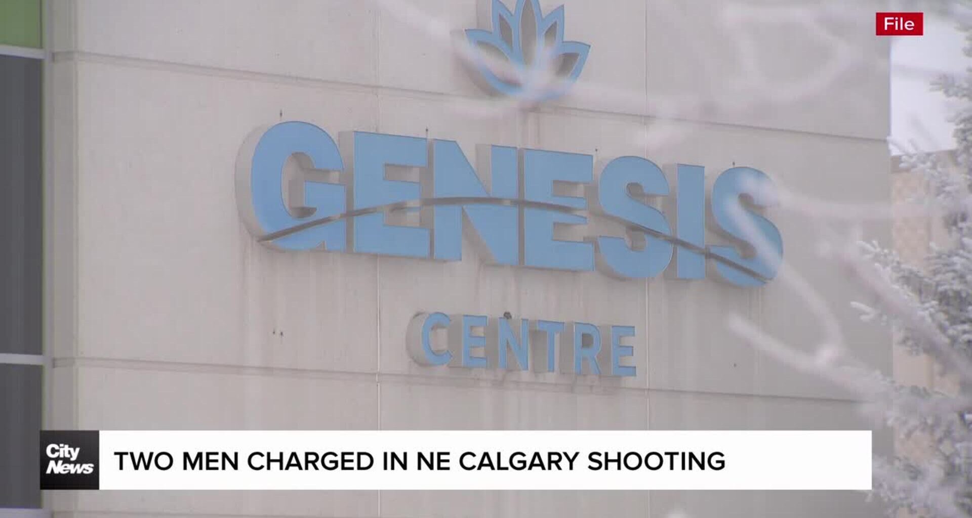 Two men charged in NE Calgary shooting