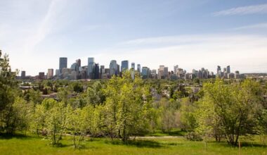 City giving away 10,000 trees to grow Calgary's canopy