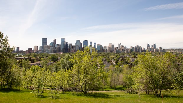 City giving away 10,000 trees to grow Calgary's canopy