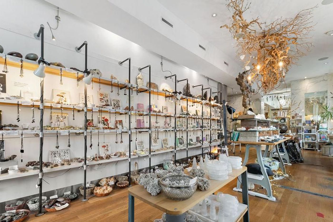 154 Harbord Street Toronto