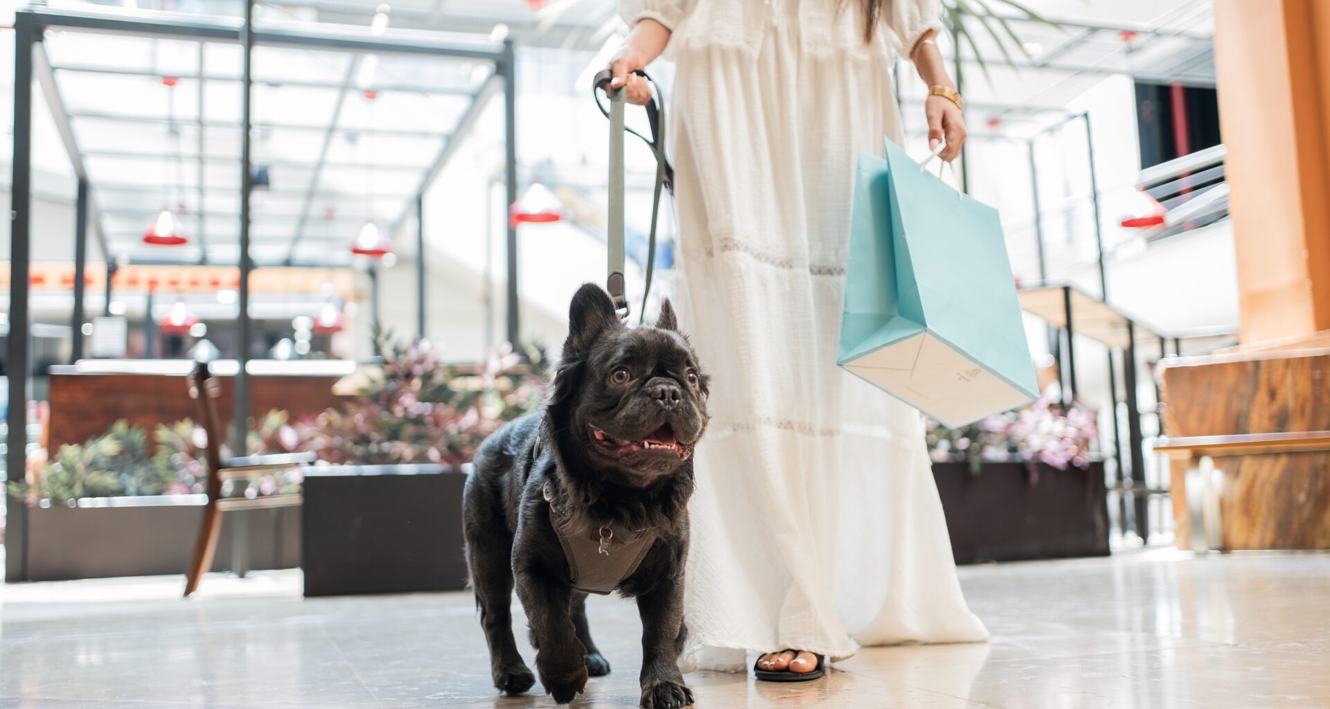 Top Montreal Reactions According to Instagram