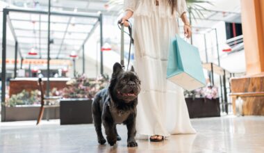 Top Montreal Reactions According to Instagram