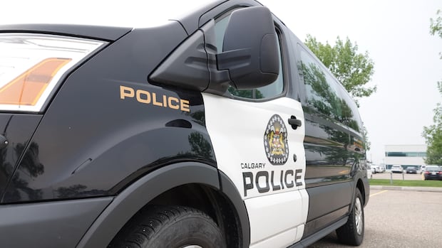 Domestic violence cases up 7% in Calgary last year, new stats show
