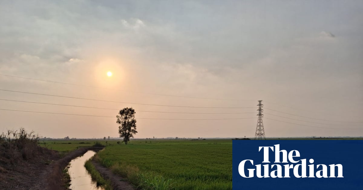 In Thailand’s rice paddies, rising petrol prices spell chaos for farmers | Thailand