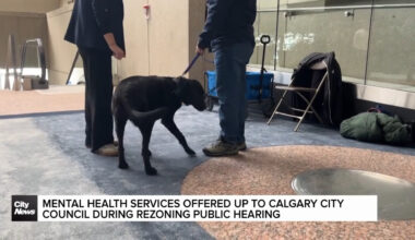 Mental health services offered up to Calgary City council during rezoning public hearing
