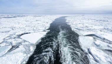 Arctic sea ice hits lowest winter level on record
