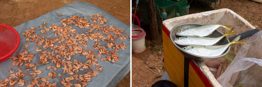 Many residents of coastal Cambodia rely on the sea for their livelihood. Here, some of the local catch.