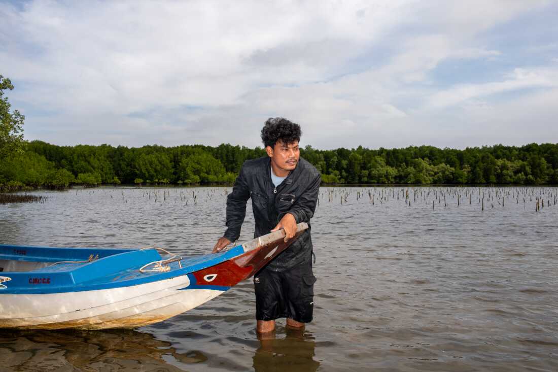 Khiev Chien helps manage his local community fishery, which protects local mangrove forests and helps with replanting efforts. Mangroves are excellent at trapping carbon, which would otherwise contribute to global warming, and Khiev is proud that the work he does helps address climate change.
