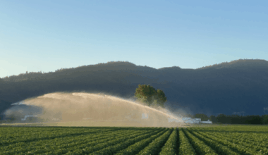 Future uncertain for Surrey potato farm as land is owned by federal government - BC