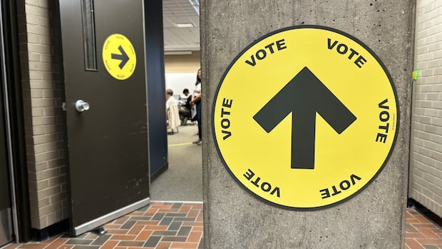 Write-in ballots for Montreal-area byelection hurt accessibility: disability advocacy group