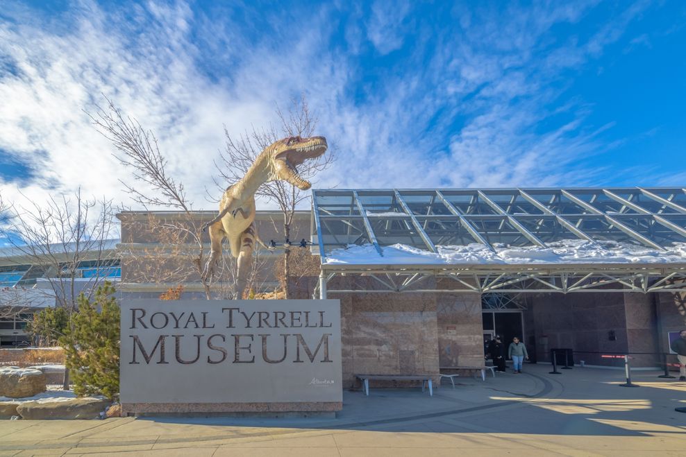 experiences near calgary