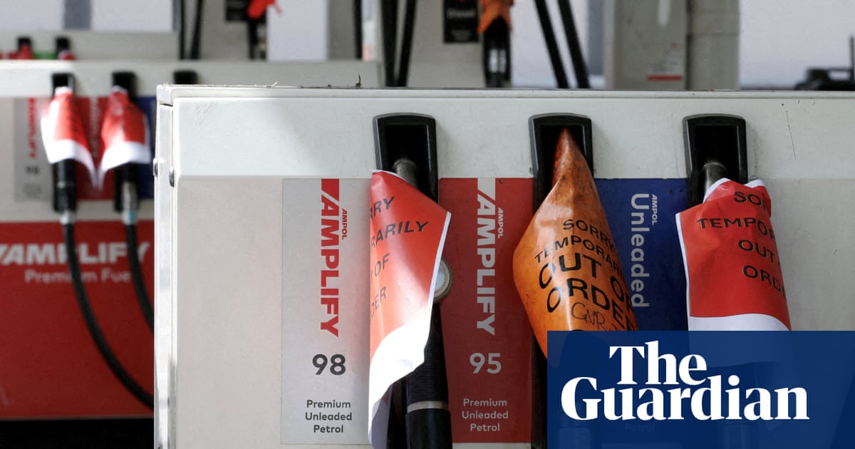 Business fears ‘serious interventions’ needed to reduce fuel demand as Labor warns of long-term ‘shock’ | Petrol prices
