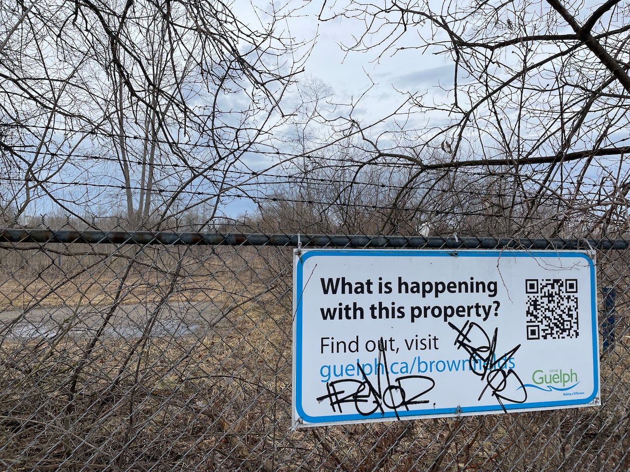 A chain link fence with an overgrown property behind it. On the fence is a sign that says 'what is happening with this property? fine out, visit guelph.ca/brownfields and the sign is tagged with graffiti