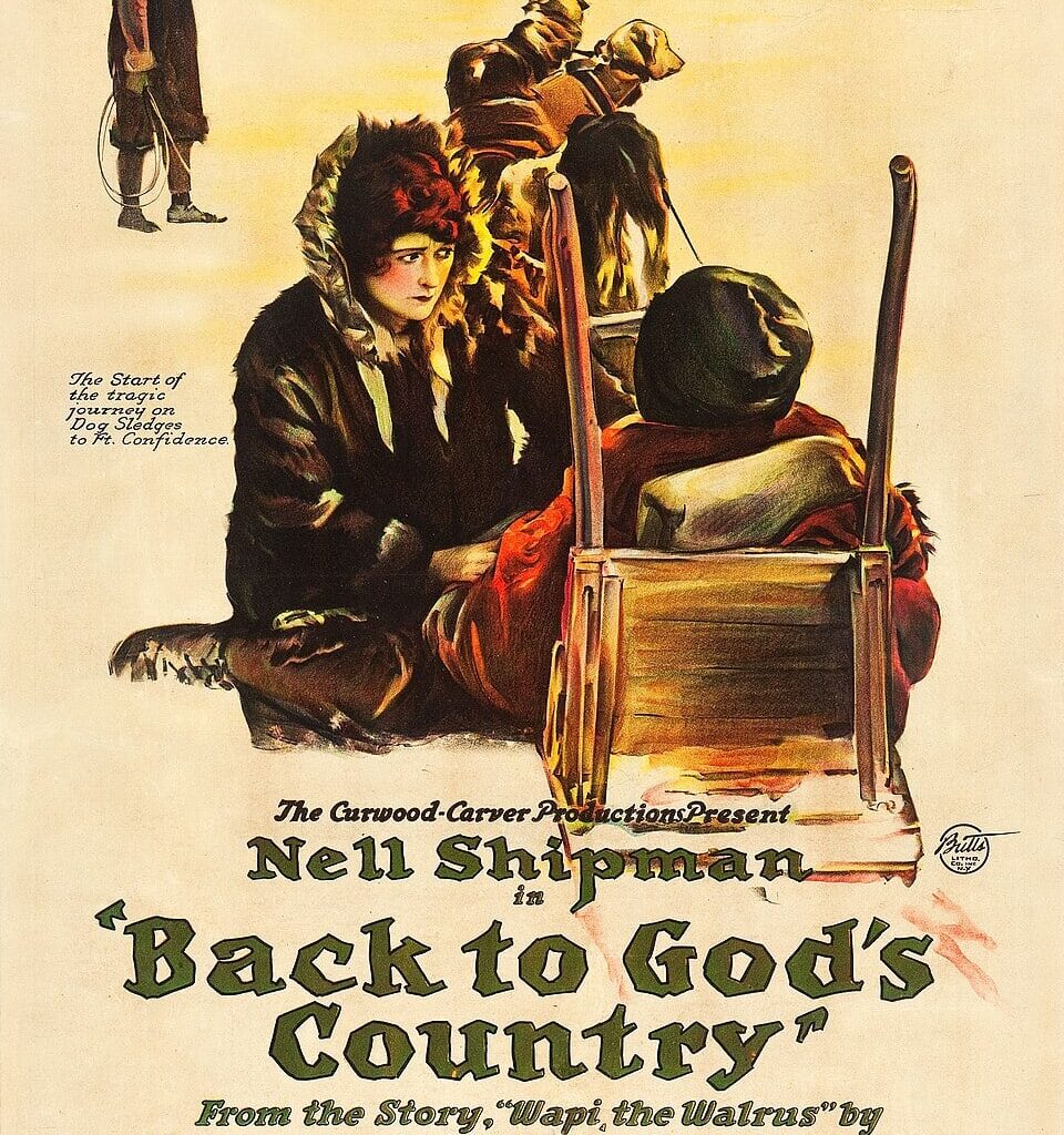 Beyond Brokeback Mountain and Interstellar: What makes a film a ‘Calgary’ flick?