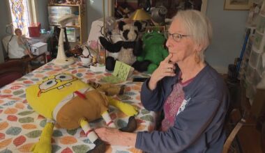 'It’s the stories behind these bears': Vancouver 'teddy bear doctor' restores old stuffies