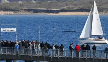 The humpback whale rescued last week in the shallow Baltic Sea? It's stuck again
