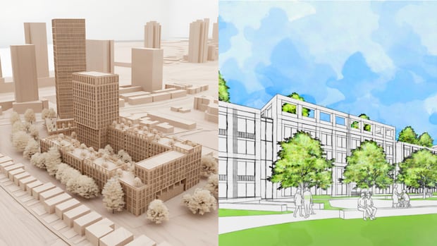 Concerns raised about council-approved rebuild plan for Swansea Mews