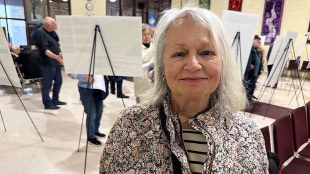 Residents having their say on 4 options to reopen Mooney's Bay sled hill