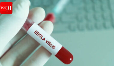 Ebola Virus: Ebola virus found in breast milk weeks after recovery |