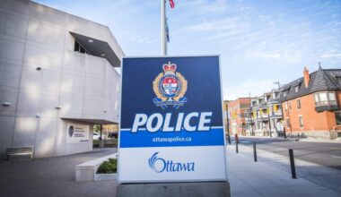 Thefts in Ottawa seeing an uptick, police data shows