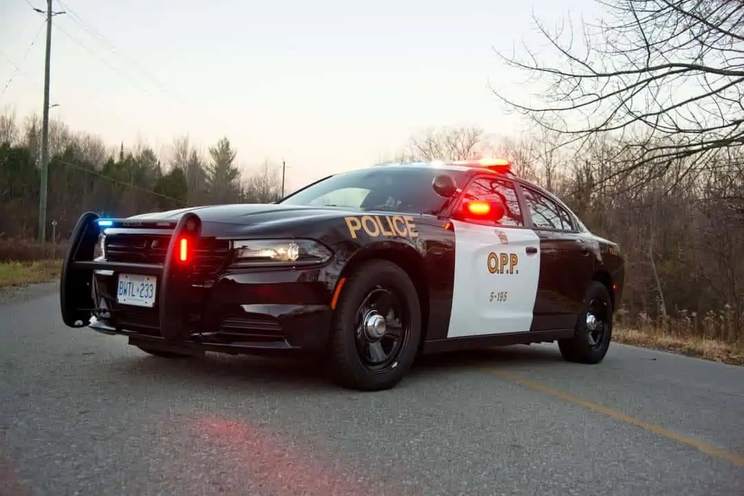 Sleeping driver caught twice over the legal limit for booze north of Brampton: police