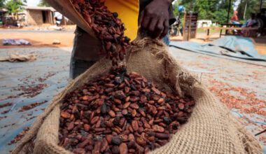 A worker fills a sack with cocoa beans as he prepares to gather unsold stocks of cocoa at the warehouse of Sekou Dagnogo, ...