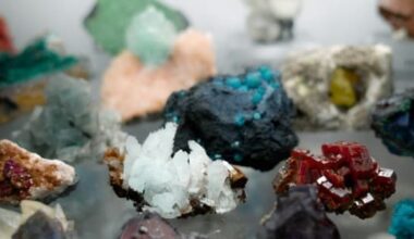 image showing a variety of rare earth resources on a glass shelf