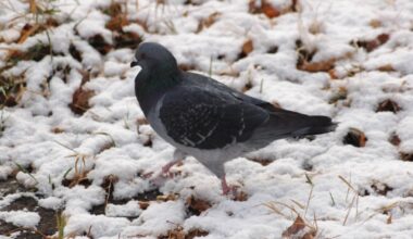 Happenings: March 12, 2026