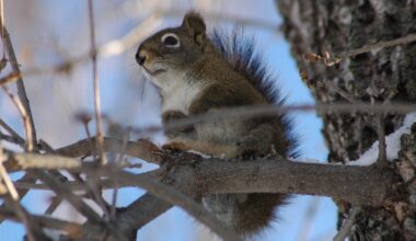 Happenings: March 23, 2026