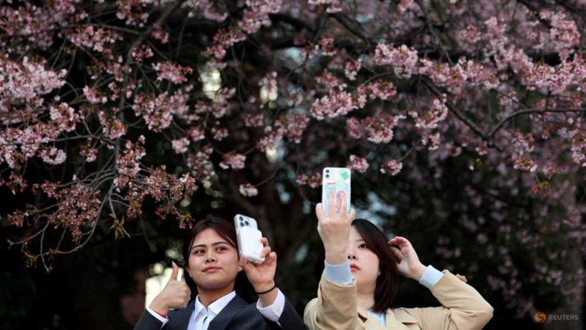 Japan's cherry blossom picnics feel the pinch of global inflation