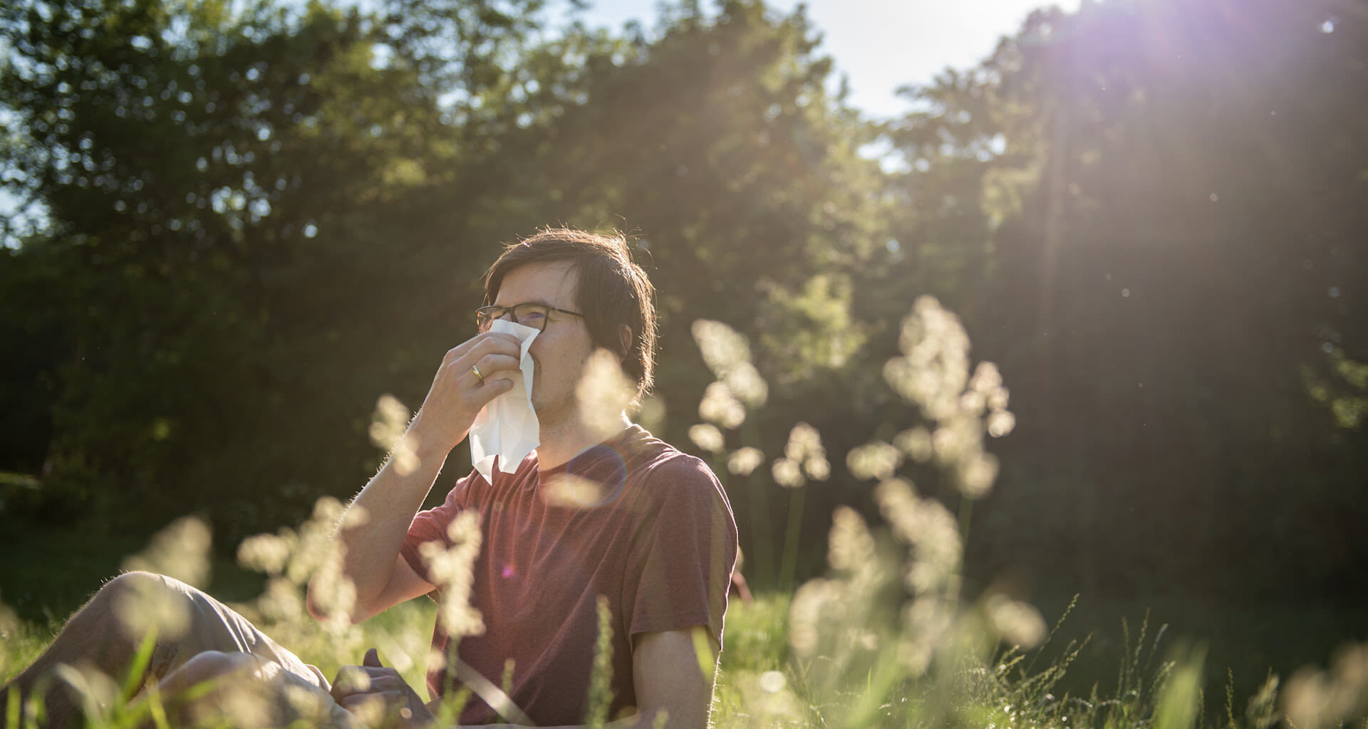 Pollen-proof your home: Essential hacks for a sneeze-free space