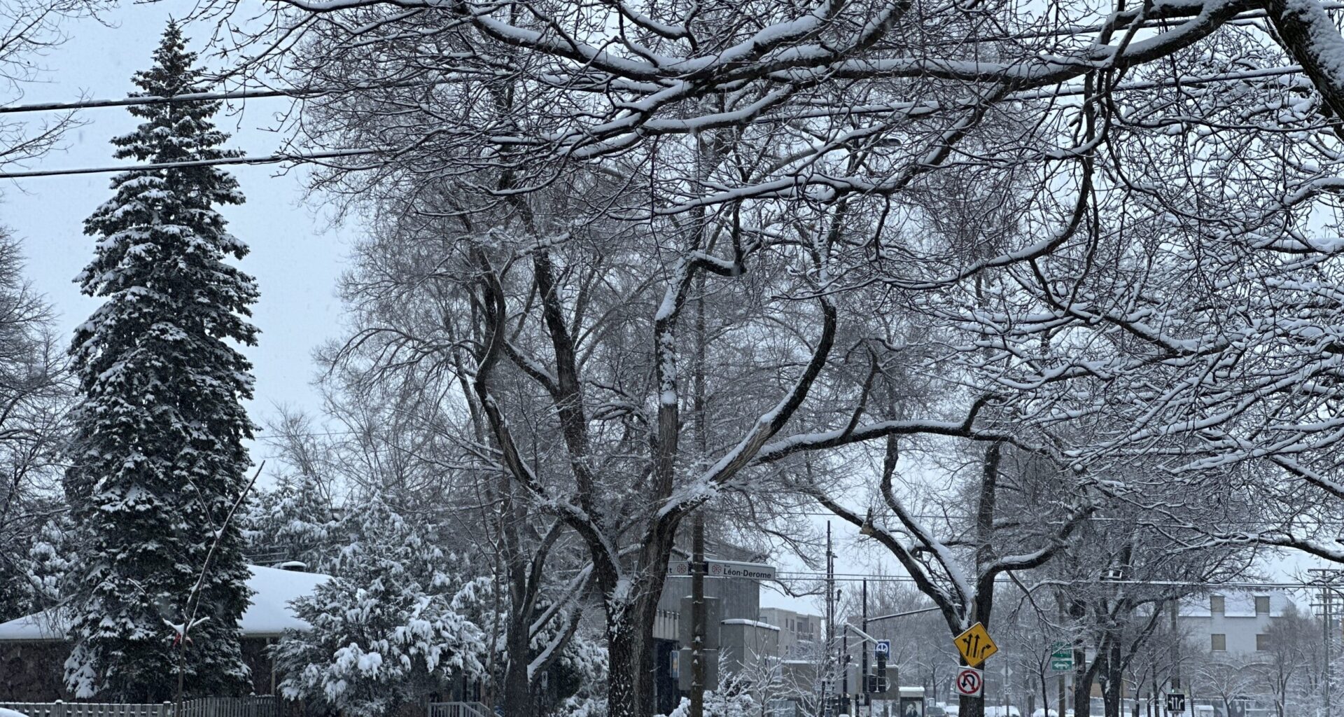 Snow and gusty winds hit Montreal; more flurries expected Sunday