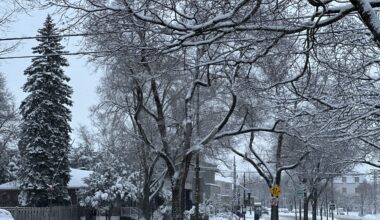 Snow and gusty winds hit Montreal; more flurries expected Sunday
