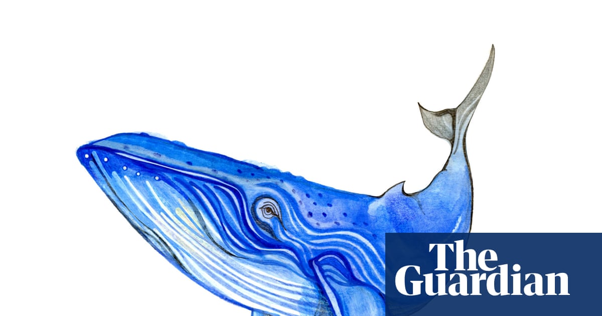 Are blue whales blue, and what is the most common animal? The kids’ quiz | Family