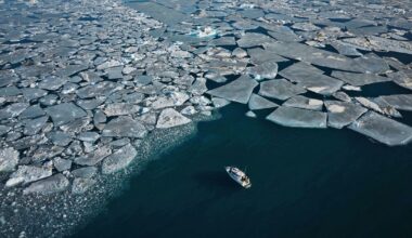 Arctic sea ice hits lowest winter level as unprecedented heat smashes records all over Earth