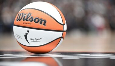 wnba ball view