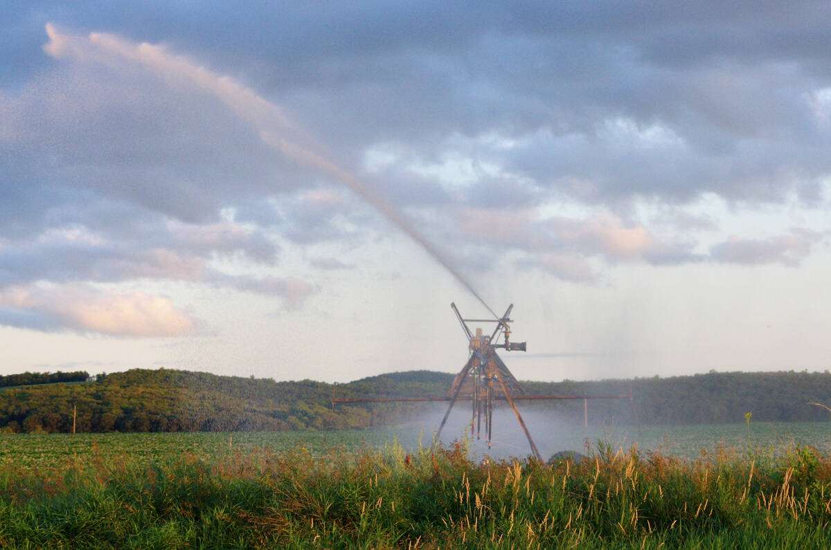Crops are irrigated as the sun goes down near Treherne, Man., in mid-summer 2024. Photo: Alexis Stockford