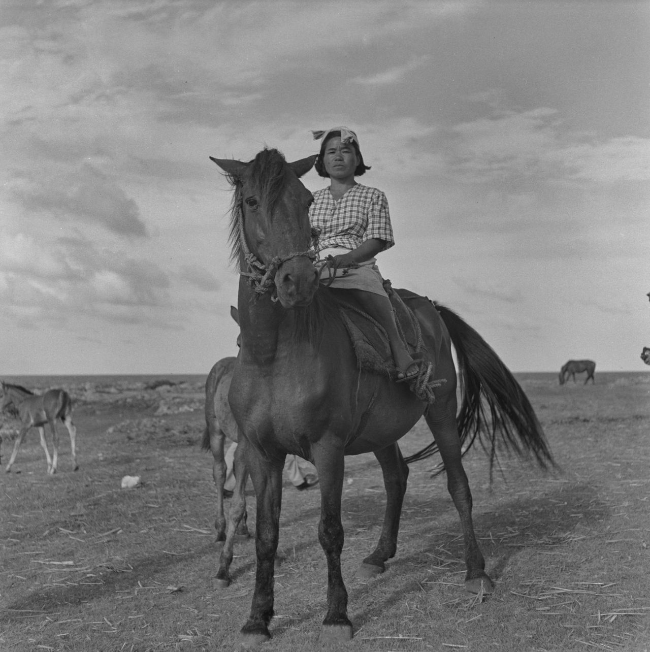Seventy years ago, there were no cars on Kikaijima, and residents got around on horses. (© Haga Hideo)