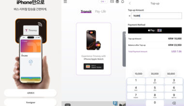 Screenshots from the Tmoney app [SCREEN CAPTURE]