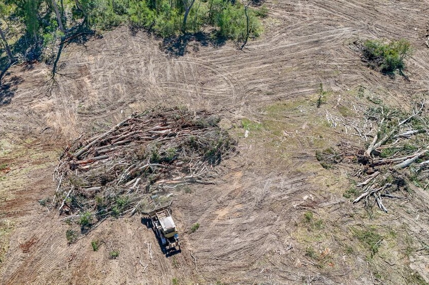 Northern NSW logging