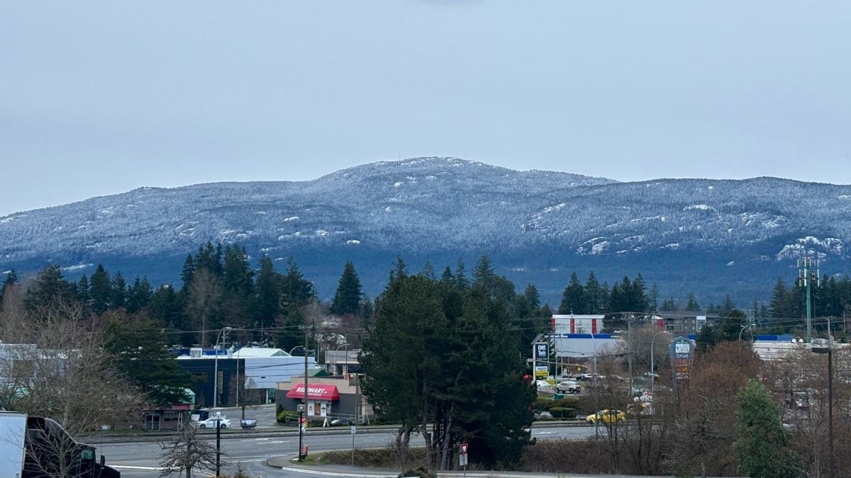 Mountain snowpack levels increase on Vancouver Island, but still lowest in the province | NanaimoNewsNOW