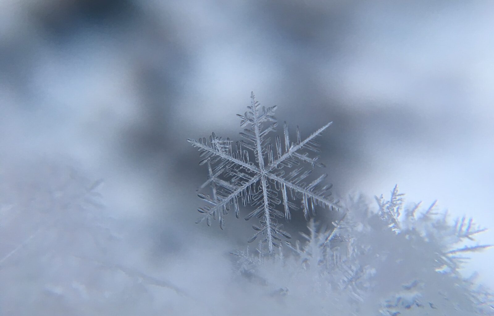 Snowfall warning issued as Calgary braces for Sunday storm