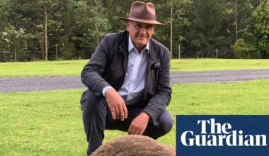 Australian wildlife in ‘harm’s way’, with volunteers left to ‘pick up the pieces’ amid climate crisis, fires and floods | Australia news