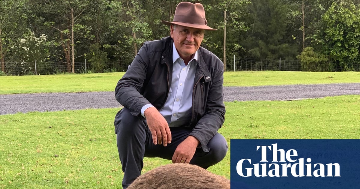 Australian wildlife in ‘harm’s way’, with volunteers left to ‘pick up the pieces’ amid climate crisis, fires and floods | Australia news
