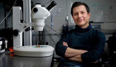 'It felt amazing': Calgary scientists win Killam Trust award