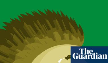 How can we really protect Britain’s environment? | Environment